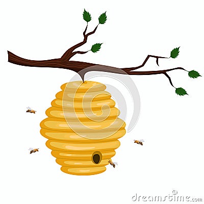 Beehive of wild bees hanging on a branch. Vector graphics isolated on white background Stock Photo