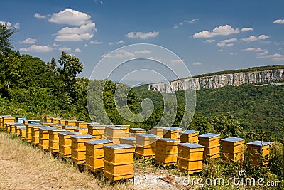 Beehives Stock Photo