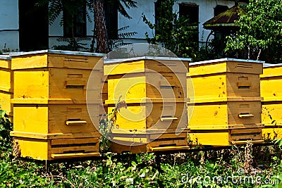 Beehives Stock Photo