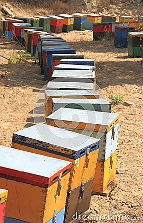 Beehives Stock Photo