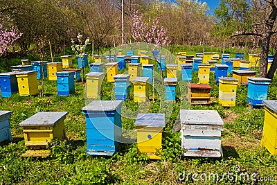 Beehives Stock Photo