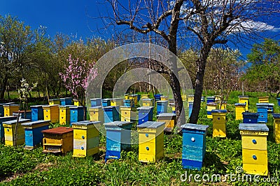 Beehives Stock Photo