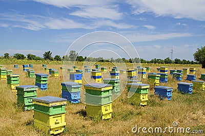 Beehives in a field Stock Photo