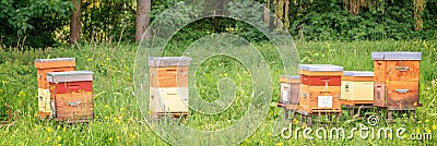 Beehives a green grassy field in France Stock Photo
