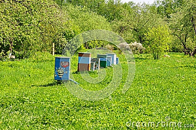 Beehives on the green lawn in the Museum-Reserve Leninskie Gorki. Russia Editorial Stock Photo