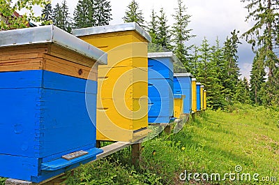 Beehives in a meadow Stock Photo