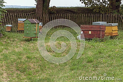 Beehives ready for transport Stock Photo