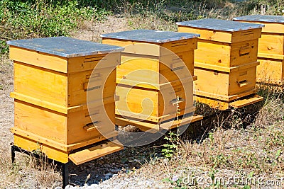 Beehives Stock Photo