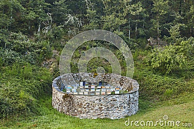 Beehives. Traditional stone wall structure against bears. Muniellos, Asturias Stock Photo