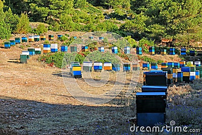 Beehives in a valley Stock Photo