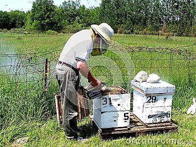 Beekeeper Stock Photo