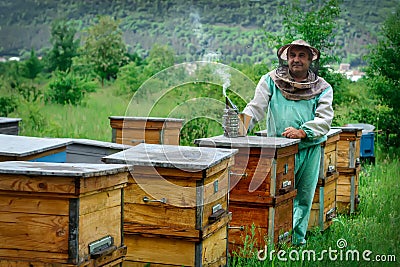 Beekeeper in an apiary near the hives. Apiculture. Apiary. Stock Photo