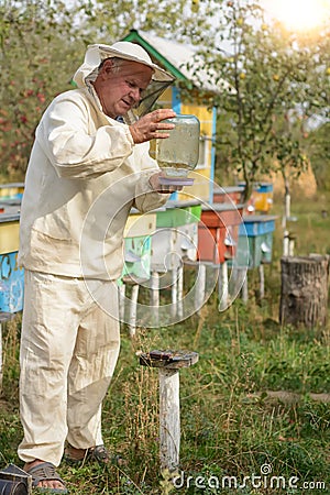 Beekeeper apiary puts on a bowl of water for bees Stock Photo