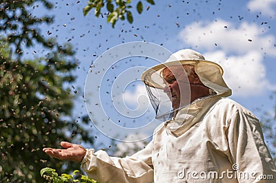 Beekeeper and bee swarm, apiary beehive honey Stock Photo