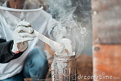 Beekeeper, hands and smoker at bee farm for smoking bees. Beekeeping, safety and worker or employee in suit with Stock Photo