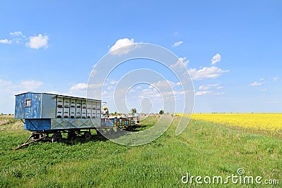 Beekeeper and his mobile beehives Stock Photo