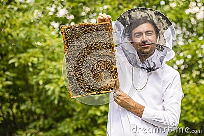 Beekeeper holding frame Background texture pattern section wax Bees work honeycomb from bee hive filled golden honey Concept Stock Photo