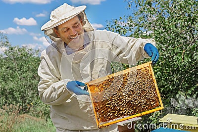 Beekeeper holding a honeycomb Stock Photo