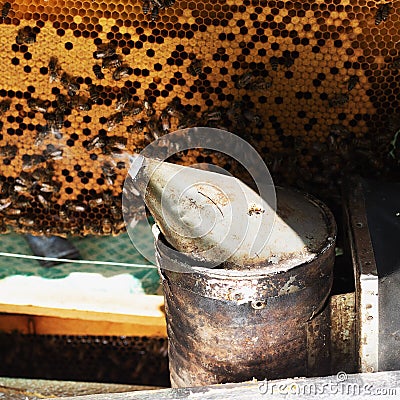 A beekeeper inspects the frame at the apiary. Beehives with bees Stock Photo