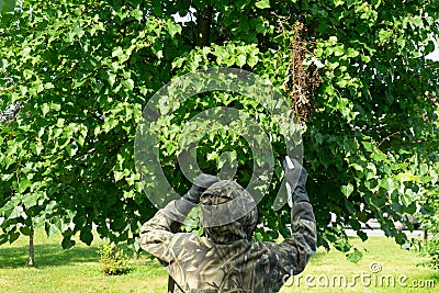 The beekeeper is preparing to remove a swarm of bees from the tree. A swarm of bees on the branch of a Linden tree. Colony of bees Stock Photo