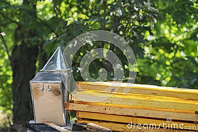 Beekeeper Smoker smokes white smoke. Apiary background. Beekeeping tool close up. Smoker stands on the ground on the green grass. Stock Photo