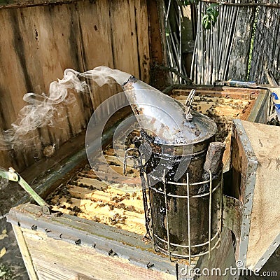 Beekeeper tending his beehives with his vintage antique smoker Stock Photo