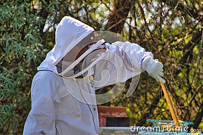 Beekeeper Tending His Hives Stock Photo