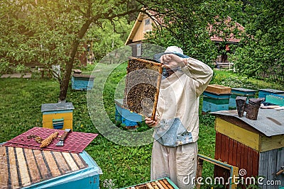 Beekeeper in uniform with honey frame at apiary Stock Photo