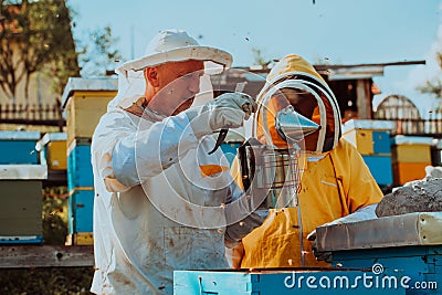 Beekeepers checking honey on the beehive frame in the field. Small business owners on apiary. Natural healthy food Stock Photo