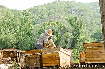 The beekeepers in the work Editorial Stock Photo