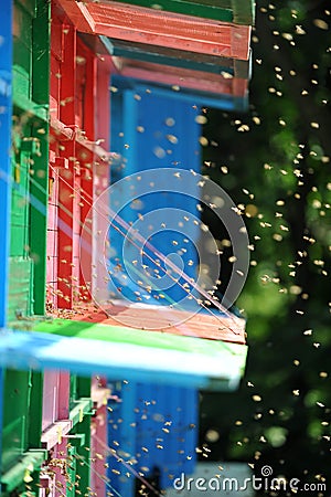 Beekeeping - Beehives Stock Photo