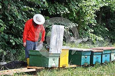 Beekeeping - Beehives Stock Photo