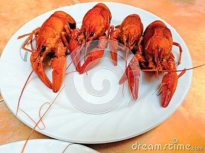 Beer, boiled crawfish with lemon and rosemary. Shallow dof Stock Photo