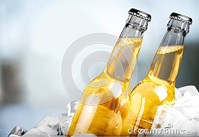 Beer Bottle Stock Photo