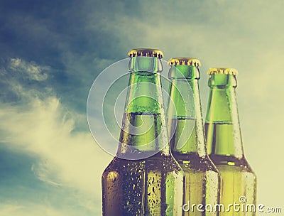 Beer Stock Photo