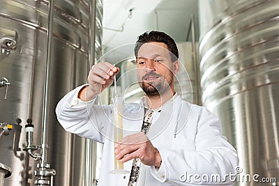 Beer brewer in his brewery examining Stock Photo