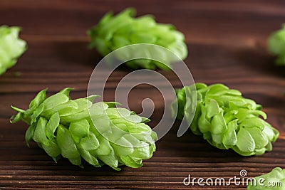 Beer brewing ingredients, hops,on a wooden cracked old table in front of hops plantation. Beer brewery concept. Stock Photo