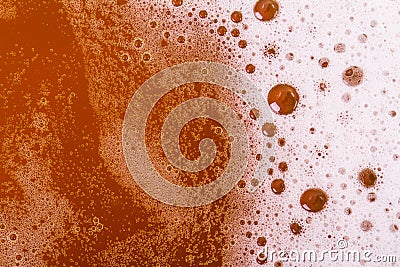 Beer Foam Stock Photo