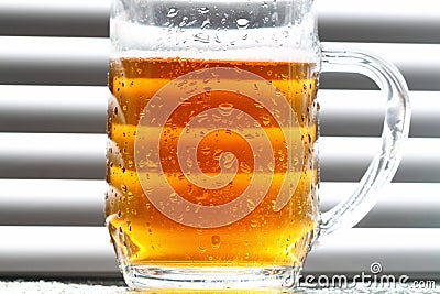 Beer glass blinds sunlight D Stock Photo