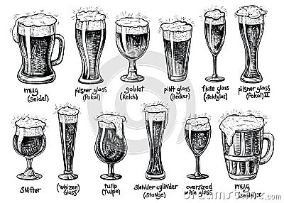 Beer glass and mugs types. Vector hand drawn vintage illustrations. Vector Illustration