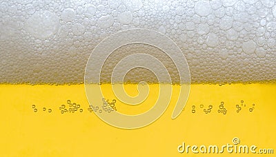 Beer head Stock Photo
