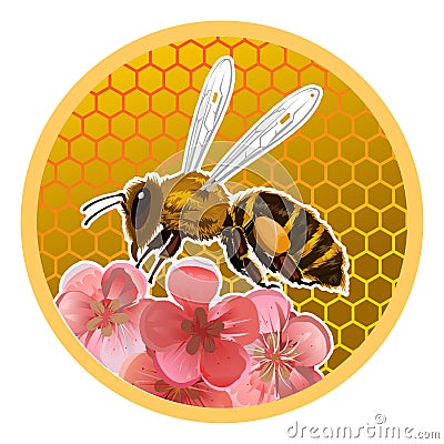 Beer honey jar lid design concept. Packaging design. Printing on plastic or metal can lids. A bee on a background of bee honeycomb Vector Illustration