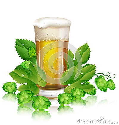 Beer and hops Vector Illustration