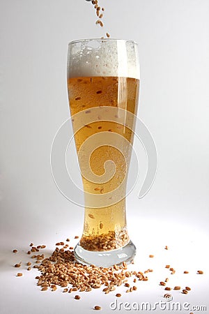 Beer and malt Stock Photo