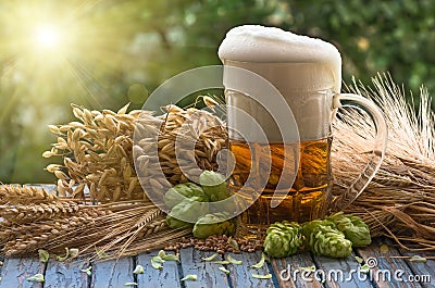 Beer malt hops Stock Photo