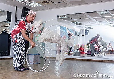 Beer-Sheva, ISRAEL -Clown and white poodle to jump through hoops, July 25, 2015 Editorial Stock Photo