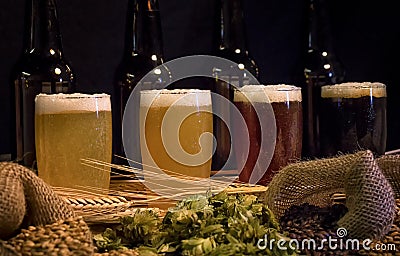 Beer tasting set with home brew ingredients Stock Photo