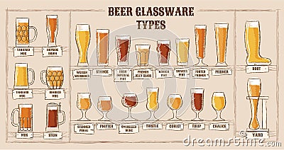 Beer types. A visual guide to types of beer. Various types of beer in recommended glasses Vector Illustration