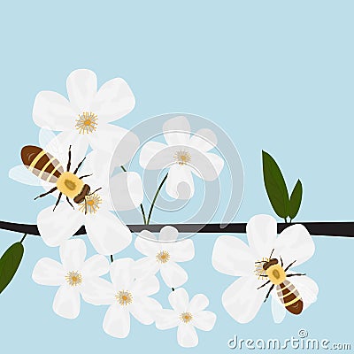 Bees collecting nectar of flowers, spring, flowering trees Stock Photo