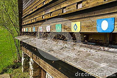 Bees flying into a beehive Stock Photo